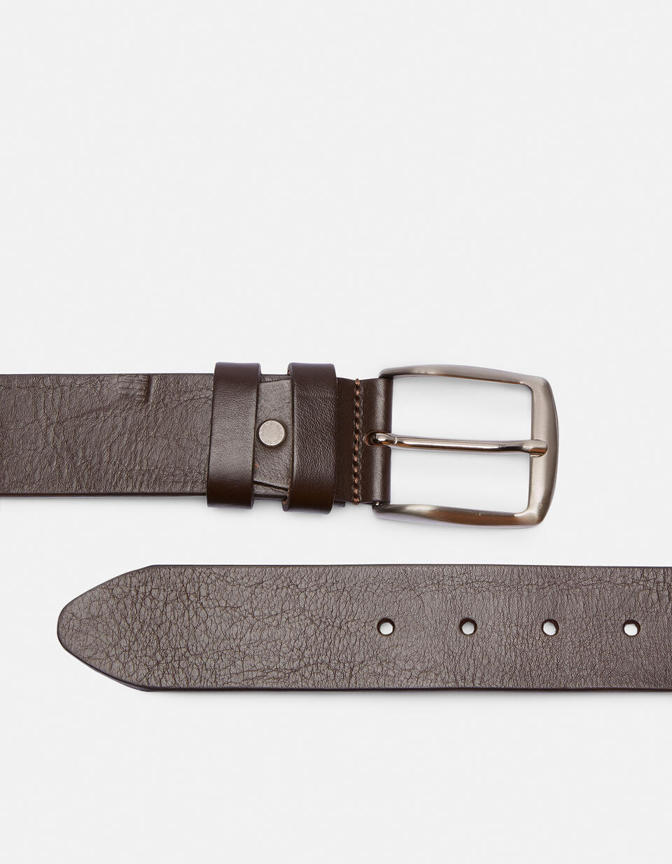 Seamless belt Dark brown  - Men Belts - Belts - Cuoieria Fiorentina
